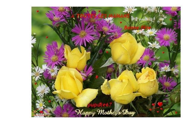 Image du Blog pupuce67.centerblog.net