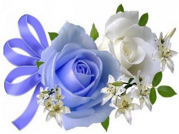 Image du Blog pupuce67.centerblog.net