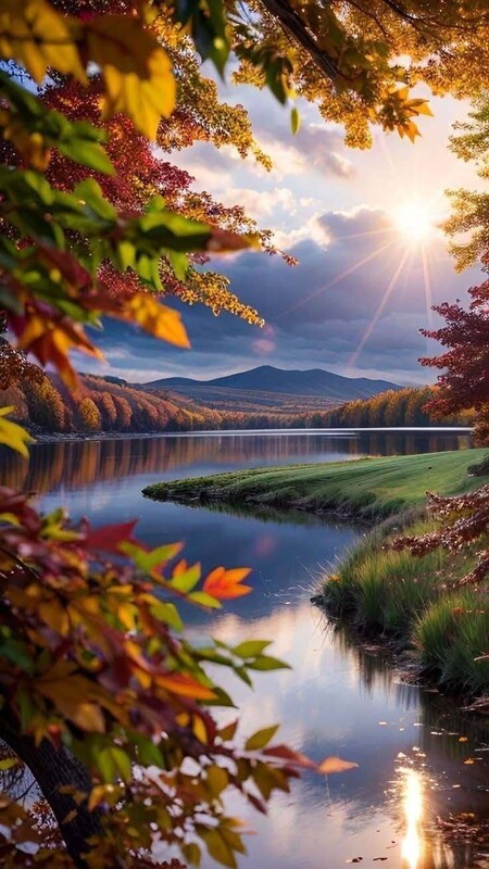 Paysage