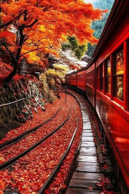 Paysage