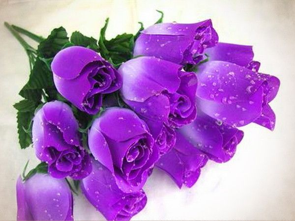 Image du Blog pupuce67.centerblog.net