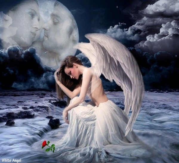 Image du Blog pupuce67.centerblog.net