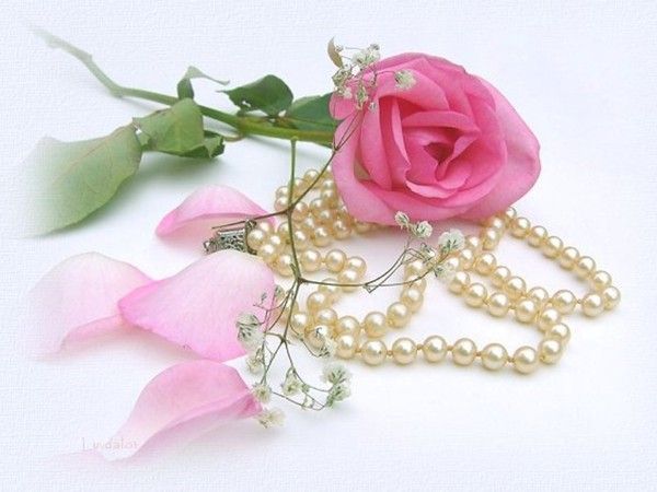 Image du Blog pupuce67.centerblog.net